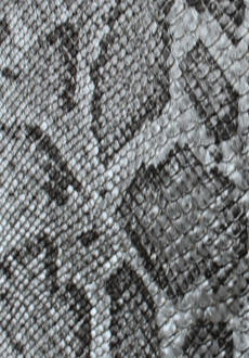 Tela Serpent